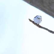 ヒメ日記 2025/09/25 12:01 投稿 あわい ロイヤル土佐