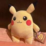 ヒメ日記 2025/10/08 11:30 投稿 あわい ロイヤル土佐