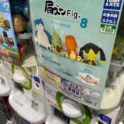 ヒメ日記 2025/12/04 10:15 投稿 あわい ロイヤル土佐