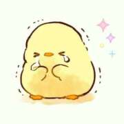 あわい すみません😖 ロイヤル土佐