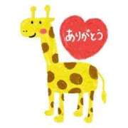 あわい ごめんなさいと感謝 ロイヤル土佐