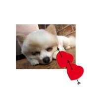 ヒメ日記 2025/11/21 23:11 投稿 たまき ポッキリ学園 ～モテモテハーレムごっこ～