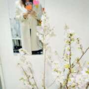 ヒメ日記 2025/03/15 21:43 投稿 水野　せりな 未熟な人妻