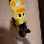 ヒメ日記 2025/04/18 07:33 投稿 水野　せりな 未熟な人妻