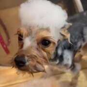 ヒメ日記 2025/06/11 12:58 投稿 水野　せりな 未熟な人妻