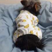 ヒメ日記 2025/07/05 00:54 投稿 水野　せりな 未熟な人妻