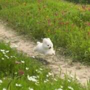 ヒメ日記 2024/07/12 19:20 投稿 せら 手こき＆オナクラ 大阪はまちゃん