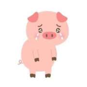 ヒメ日記 2025/04/14 09:08 投稿 寺内里美(てらうちさとみ) 五十路マダムエクスプレス厚木店(カサブランカグループ)