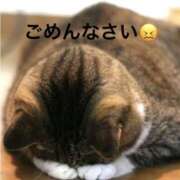 ヒメ日記 2025/06/25 11:08 投稿 寺内里美(てらうちさとみ) 五十路マダムエクスプレス厚木店(カサブランカグループ)