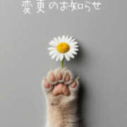 ヒメ日記 2025/08/21 22:24 投稿 寺内里美(てらうちさとみ) 五十路マダムエクスプレス厚木店(カサブランカグループ)