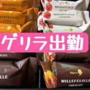 ヒメ日記 2025/09/06 09:52 投稿 寺内里美(てらうちさとみ) 五十路マダムエクスプレス厚木店(カサブランカグループ)