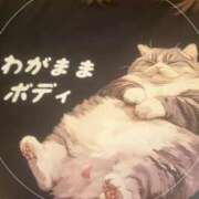 ヒメ日記 2025/09/25 18:28 投稿 寺内里美(てらうちさとみ) 五十路マダムエクスプレス厚木店(カサブランカグループ)