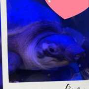 ヒメ日記 2025/10/09 09:06 投稿 寺内里美(てらうちさとみ) 五十路マダムエクスプレス厚木店(カサブランカグループ)