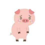 ヒメ日記 2026/01/16 10:12 投稿 寺内里美(てらうちさとみ) 五十路マダムエクスプレス厚木店(カサブランカグループ)