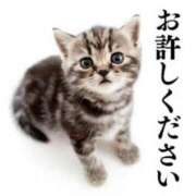 ヒメ日記 2026/04/30 00:22 投稿 寺内里美(てらうちさとみ) 五十路マダムエクスプレス厚木店(カサブランカグループ)