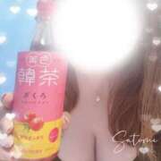 ヒメ日記 2026/06/11 12:42 投稿 寺内里美(てらうちさとみ) 五十路マダムエクスプレス厚木店(カサブランカグループ)