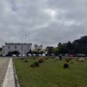 くれは 予定 ニュー姫