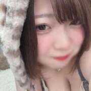 なつめ 次回2時頃〜✨ 黒い金魚（札幌）