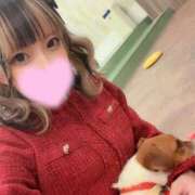 ヒメ日記 2024/12/28 04:40 投稿 ころも 池袋マリン別館