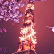 ヒメ日記 2025/03/24 08:30 投稿 ほなみ 熟女の風俗最終章 西川口店