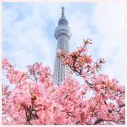 ヒメ日記 2025/04/08 05:52 投稿 ほなみ 熟女の風俗最終章 西川口店