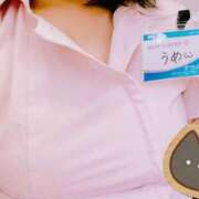 ヒメ日記 2025/04/28 13:19 投稿 うめ 札幌しこたまクリニック