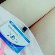 ヒメ日記 2025/09/17 21:19 投稿 うめ 札幌しこたまクリニック