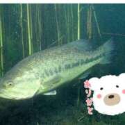 ヒメ日記 2025/03/28 16:40 投稿 秋葉 西船橋おかあさん