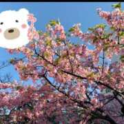 ヒメ日記 2025/03/29 14:50 投稿 秋葉 西船橋おかあさん