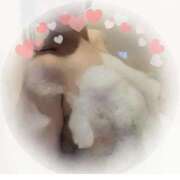 ヒメ日記 2025/04/02 08:40 投稿 秋葉 西船橋おかあさん