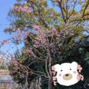 ヒメ日記 2025/04/05 09:50 投稿 秋葉 西船橋おかあさん