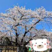 ヒメ日記 2025/04/05 10:04 投稿 秋葉 西船橋おかあさん