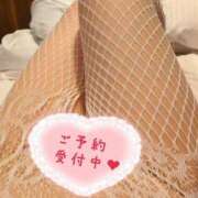 ヒメ日記 2025/04/24 09:50 投稿 秋葉 西船橋おかあさん