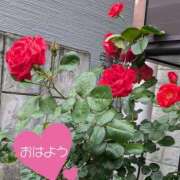 ヒメ日記 2025/05/02 09:20 投稿 秋葉 西船橋おかあさん