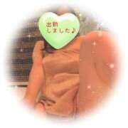 ヒメ日記 2025/05/19 11:20 投稿 秋葉 西船橋おかあさん