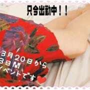 ヒメ日記 2026/03/17 15:20 投稿 秋葉 西船橋おかあさん