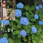 ヒメ日記 2026/05/26 09:21 投稿 秋葉 西船橋おかあさん