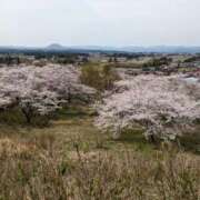 ヒメ日記 2024/04/12 15:06 投稿 ふう 熟女の風俗最終章 仙台店