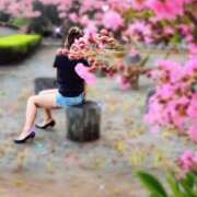 ヒメ日記 2025/03/11 12:05 投稿 ふう 熟女の風俗最終章 仙台店