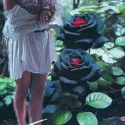 ヒメ日記 2025/03/25 07:34 投稿 ふう 熟女の風俗最終章 仙台店