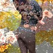 ヒメ日記 2025/04/04 16:24 投稿 ふう 熟女の風俗最終章 仙台店