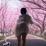 ヒメ日記 2025/04/16 09:21 投稿 ふう 熟女の風俗最終章 仙台店