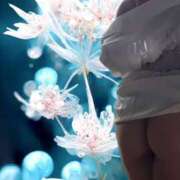 ヒメ日記 2025/05/29 19:44 投稿 ふう 熟女の風俗最終章 仙台店