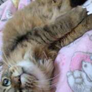 ヒメ日記 2025/06/01 09:45 投稿 ふう 熟女の風俗最終章 仙台店