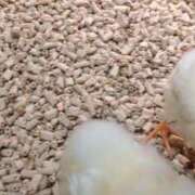 ヒメ日記 2025/06/28 07:04 投稿 ふう 熟女の風俗最終章 仙台店