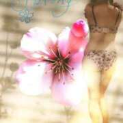 ヒメ日記 2025/07/18 00:04 投稿 ふう 熟女の風俗最終章 仙台店