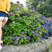 ヒメ日記 2025/07/18 08:27 投稿 ふう 熟女の風俗最終章 仙台店