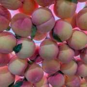 ヒメ日記 2025/07/30 15:54 投稿 ふう 熟女の風俗最終章 仙台店