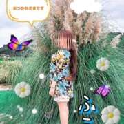 ヒメ日記 2025/07/31 23:32 投稿 ふう 熟女の風俗最終章 仙台店