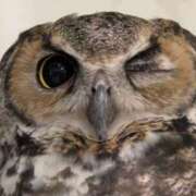 ヒメ日記 2025/08/04 09:34 投稿 ふう 熟女の風俗最終章 仙台店